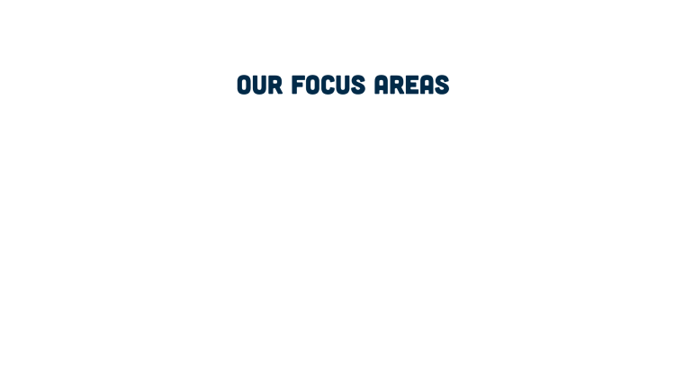 Our focus areas are: